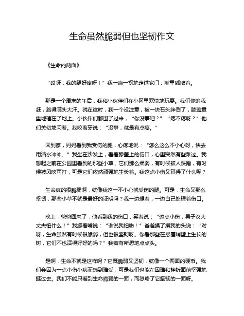 生命虽然脆弱但也坚韧作文