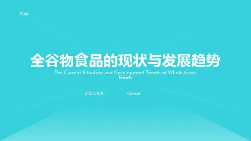 2023年全谷物食品的国内外发展现状与趋势模板