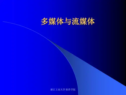流媒体概述