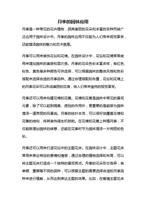 月季的园林应用