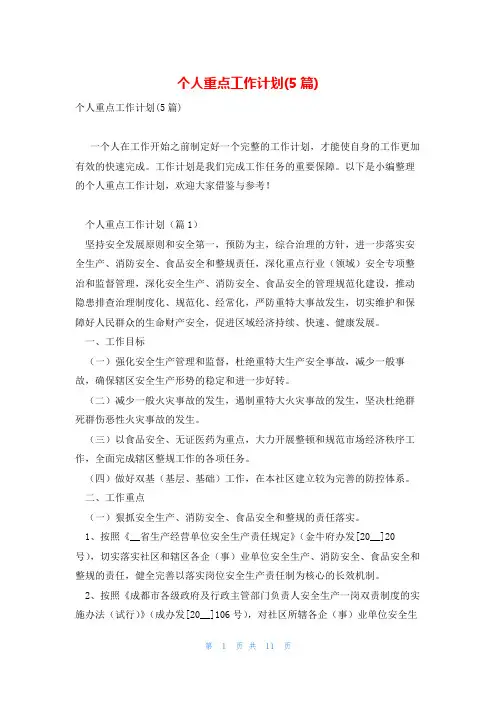 个人重点工作计划(5篇)