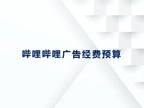 哔哩哔哩广告经费预算