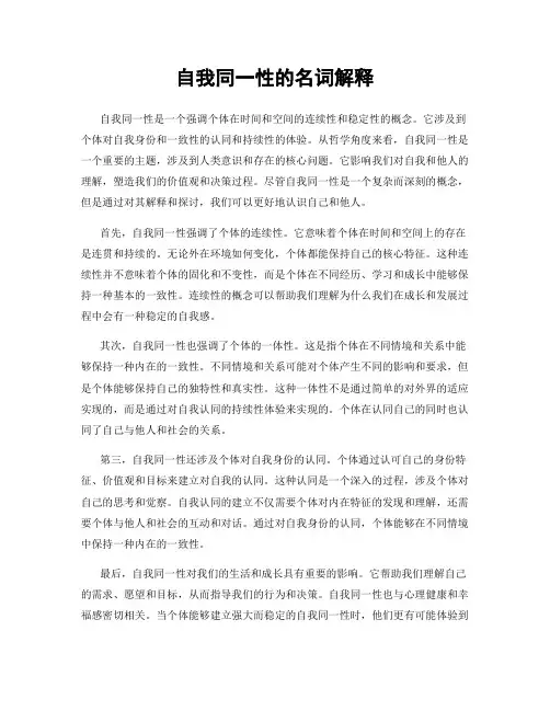自我同一性的名词解释