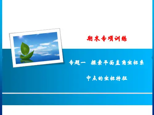 期末专项训练 专题一 探索平面直角坐标系中点的坐标特征