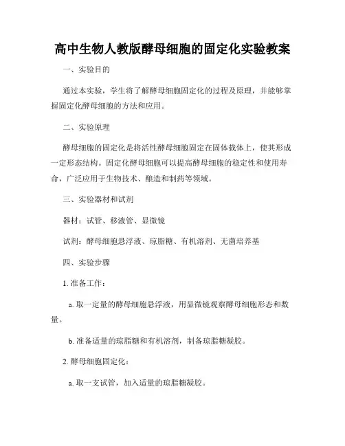 高中生物人教版酵母细胞的固定化实验教案
