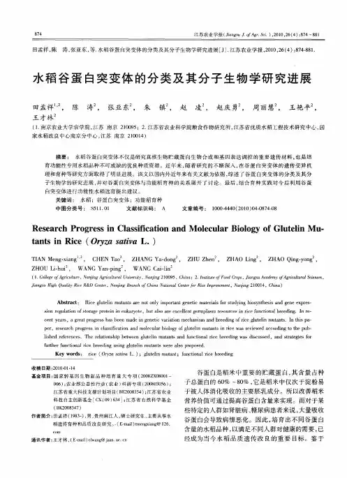 水稻谷蛋白突变体的分类及其分子生物学研究进展