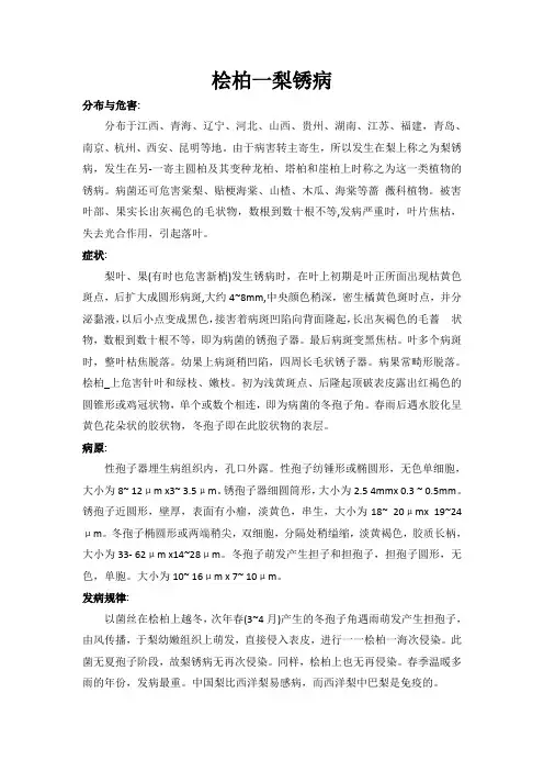 桧柏一梨锈病