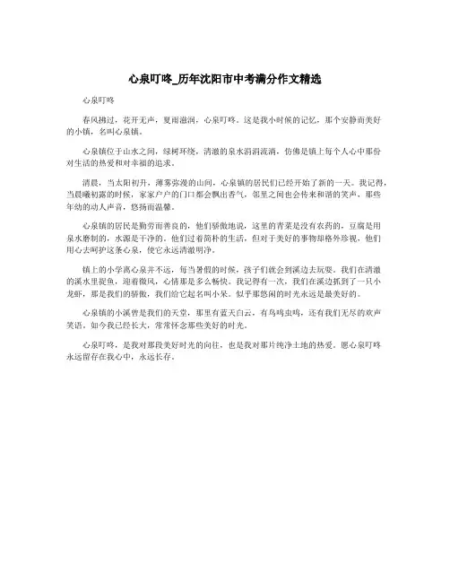 心泉叮咚_历年沈阳市中考满分作文精选