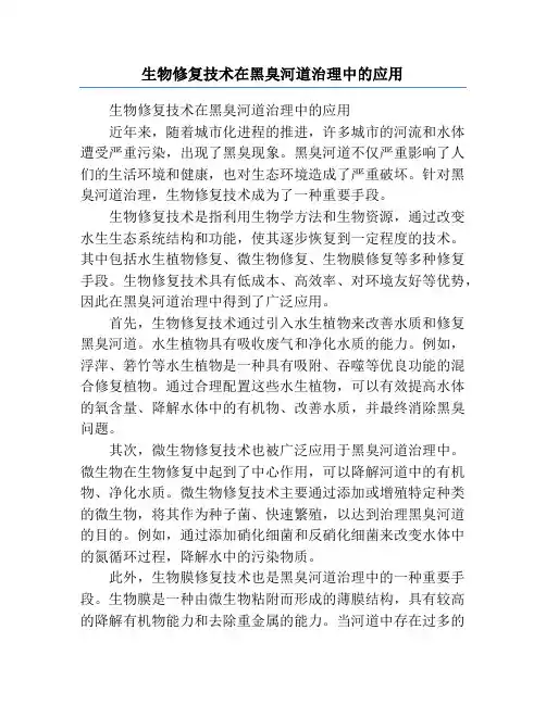 生物修复技术在黑臭河道治理中的应用