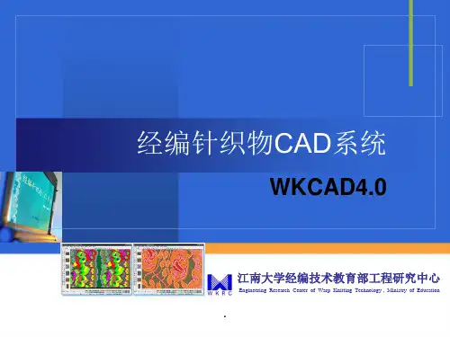 经编针织物CAD系统ppt课件