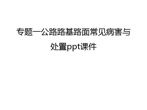专题一公路路基路面常见病害与处置ppt课件演示教学