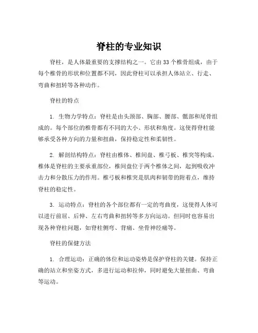 脊柱的专业知识