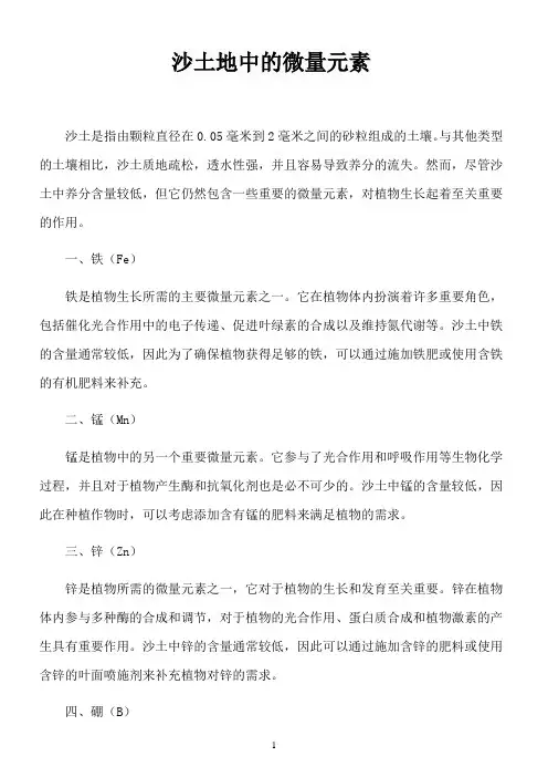 沙土地中的微量元素