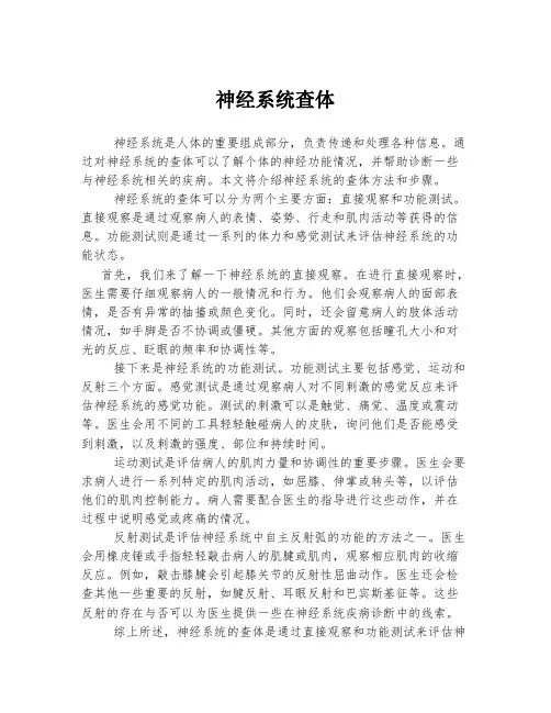 神经系统查体