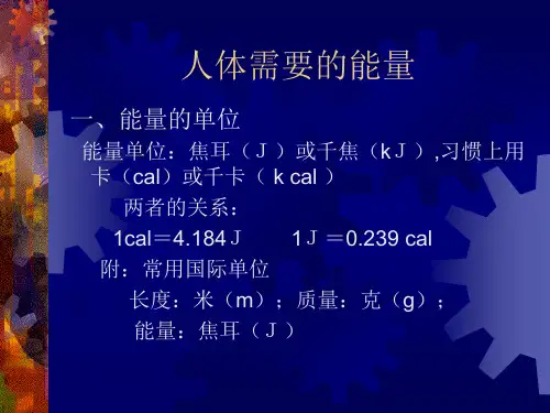 营养学基础 人体需要的能量