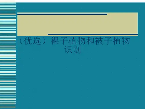 (完整)裸子植物和被子植物识别精品PPT资料精品PPT资料