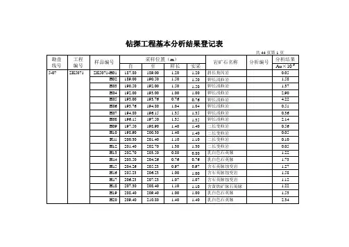 钻探工程基本分析结果登记表