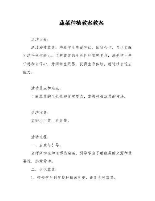 蔬菜种植教案教案