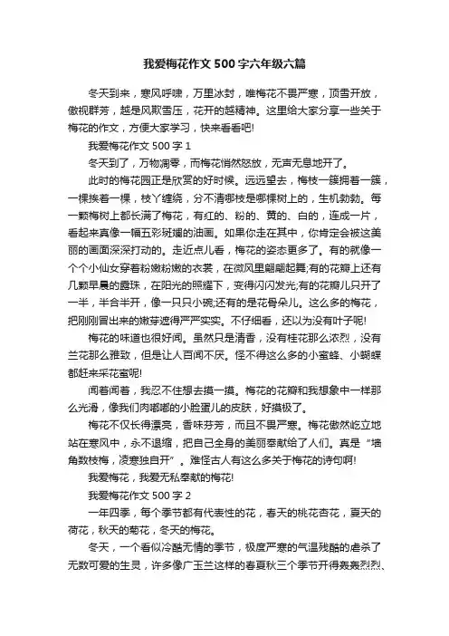 我爱梅花作文500字六年级六篇