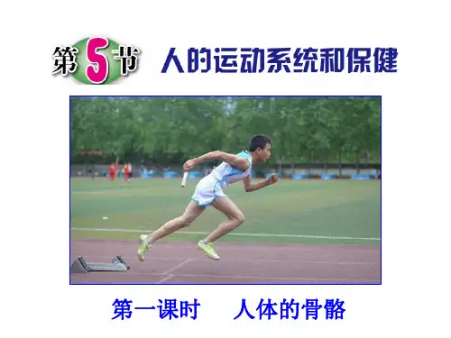 九年级下科学人的运动系统和保健-PPT完美课件浙教版