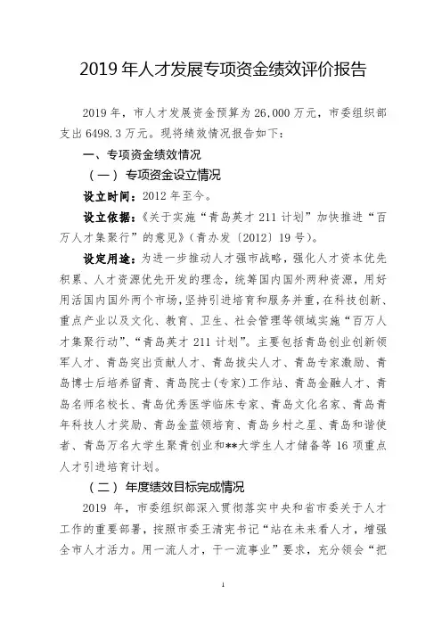 2019年人才发展专项资金绩效评价报告【模板】