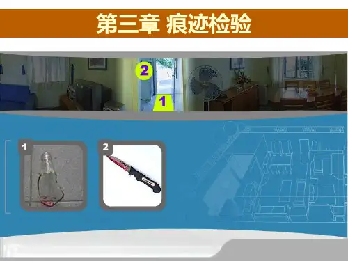 痕迹检验