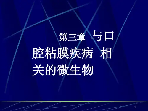 口腔微生物课件