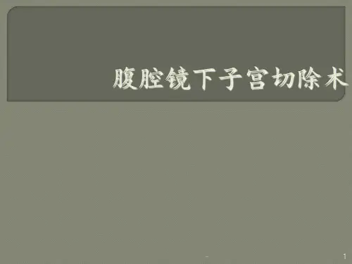 腹腔镜下子宫切除术ppt课件