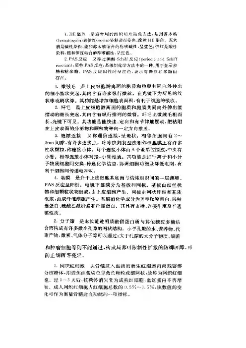 组胚名解