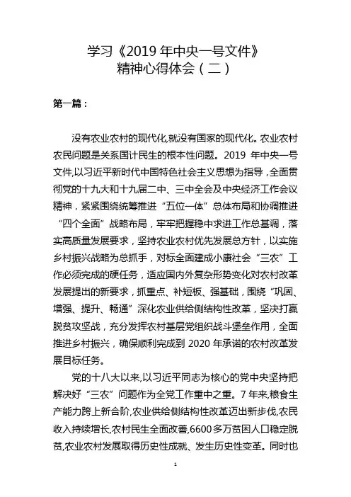 学习《2019年中央一号文件》精神心得体会(二)