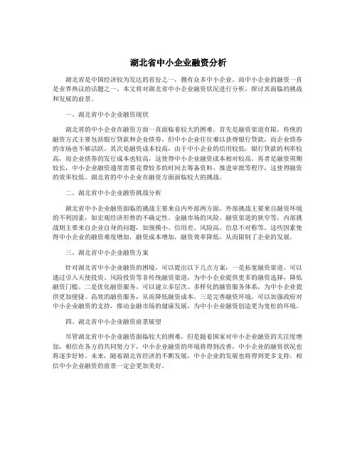 湖北省中小企业融资分析