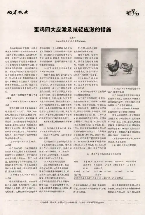 蛋鸡四大应激及减轻应激的措施
