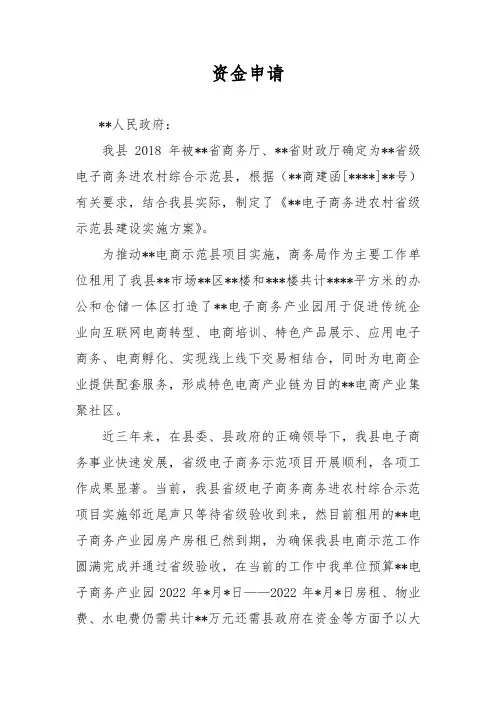 电商项目资金申请