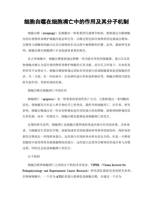 细胞自噬在细胞凋亡中的作用及其分子机制