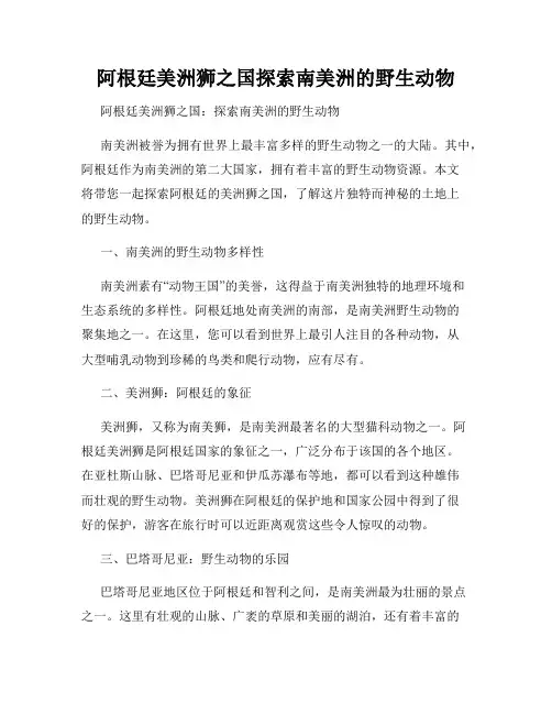 阿根廷美洲狮之国探索南美洲的野生动物