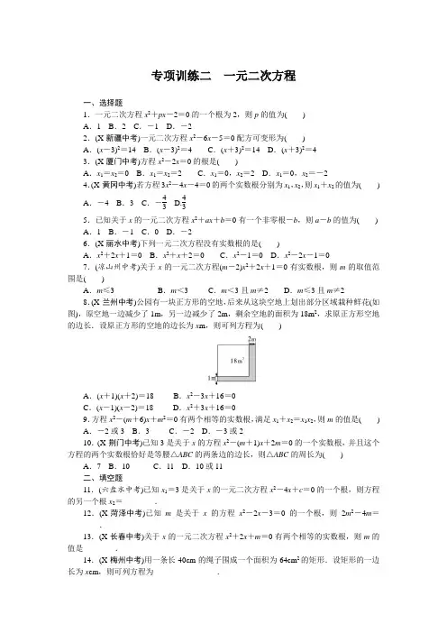 北师大版九年级数学下册专项训练二 一元二次方程