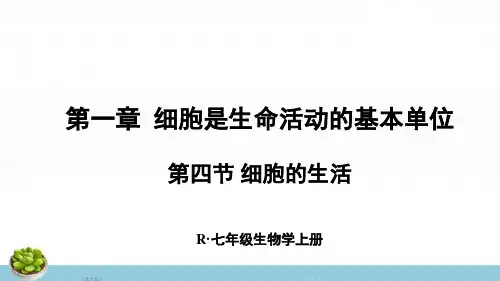 最新人教版七年级生物上册《第四节 细胞的生活》优质教学课件