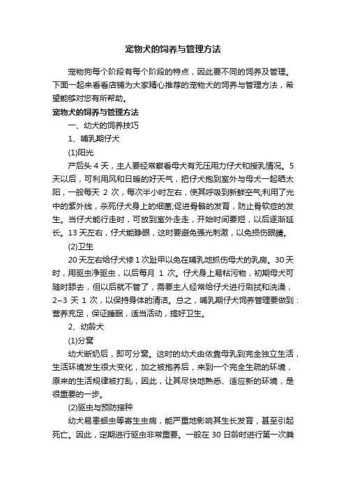 宠物犬的饲养与管理方法