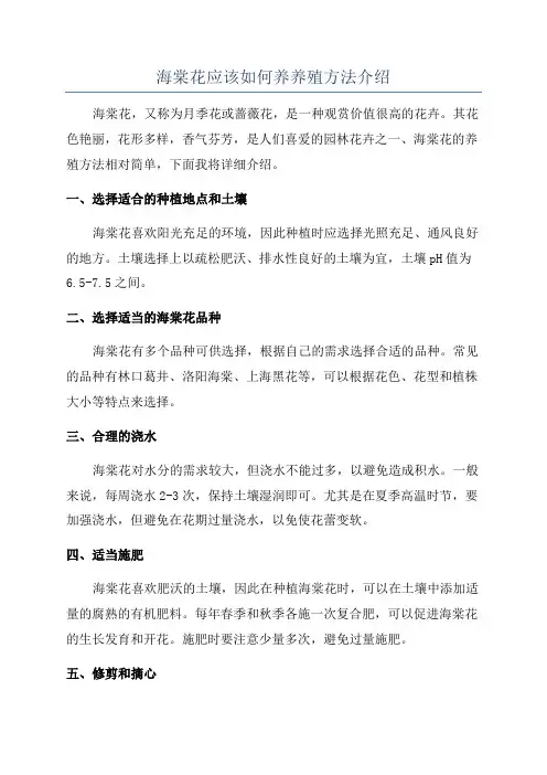 海棠花应该如何养养殖方法介绍
