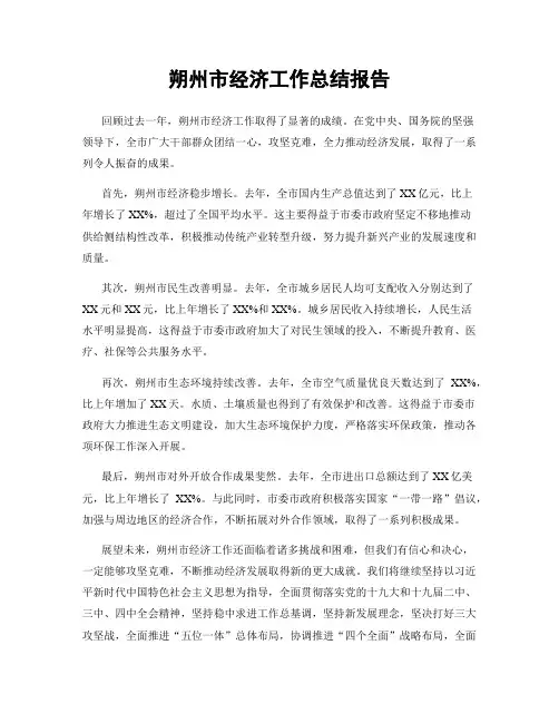 朔州市经济工作总结报告