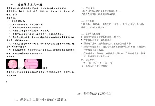 观察洋葱表皮细胞生物实验报告