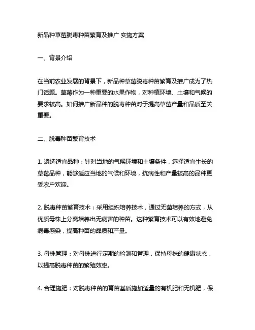 新品种草莓脱毒种苗繁育及推广 实施方案