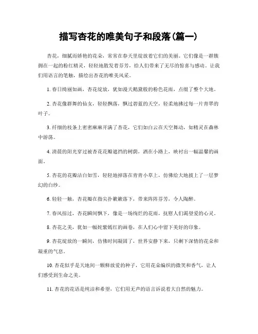 描写杏花的唯美句子和段落(精选合集2篇)