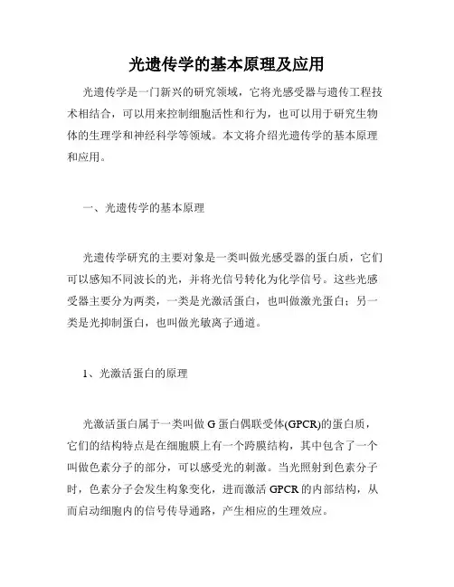 光遗传学的基本原理及应用