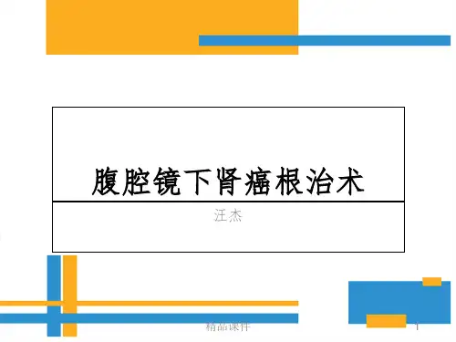 腹腔镜下肾癌根治术