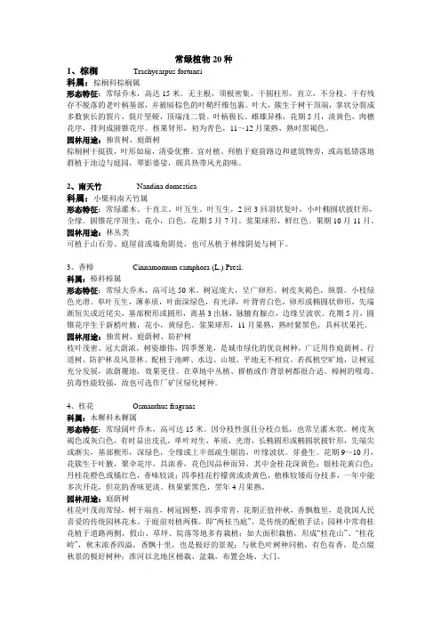 常绿植物20种讲解