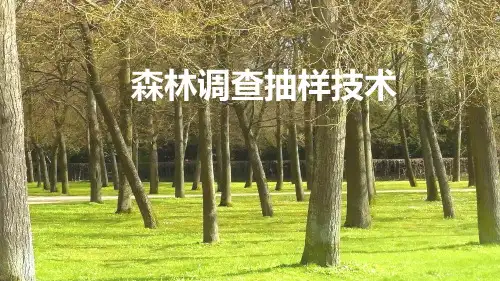 大面积森林调查—森林调查抽样技术(森林调查课件)