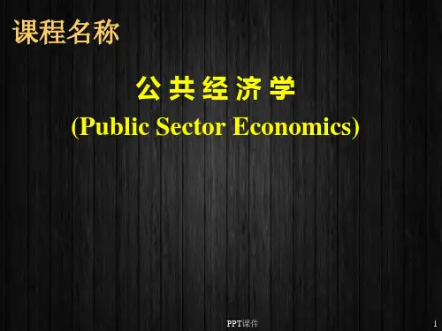 公共经济学  ppt课件
