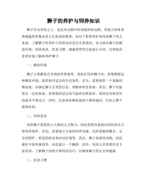 狮子的养护与饲养知识