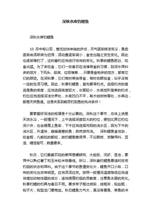 深秋水库钓鲤鱼